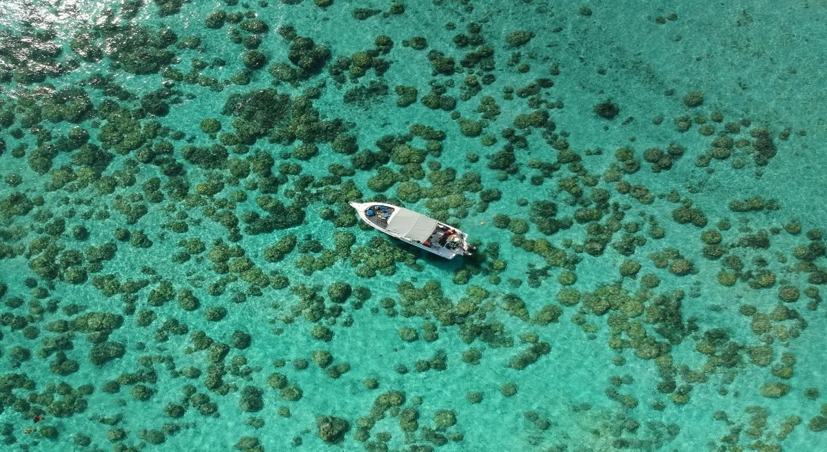 Mauritius 