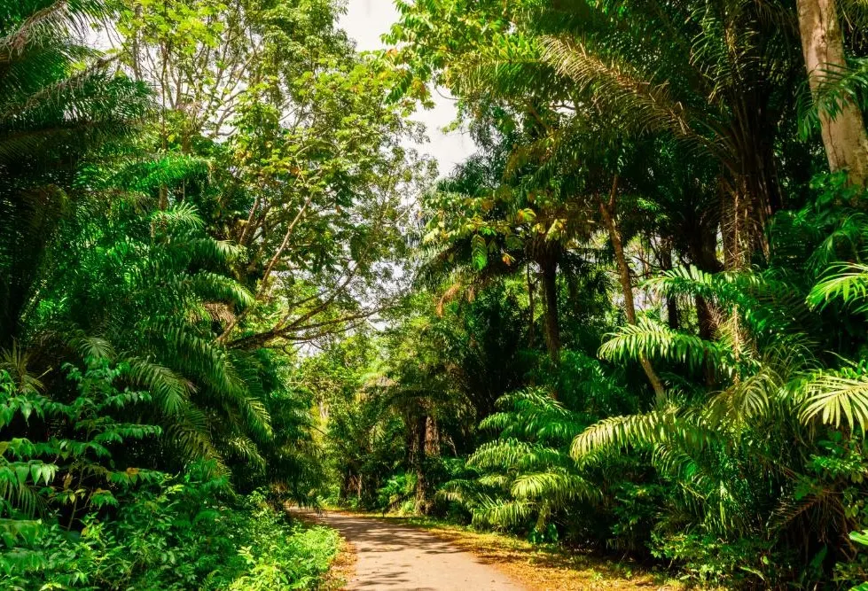 Trinidad and Tobago