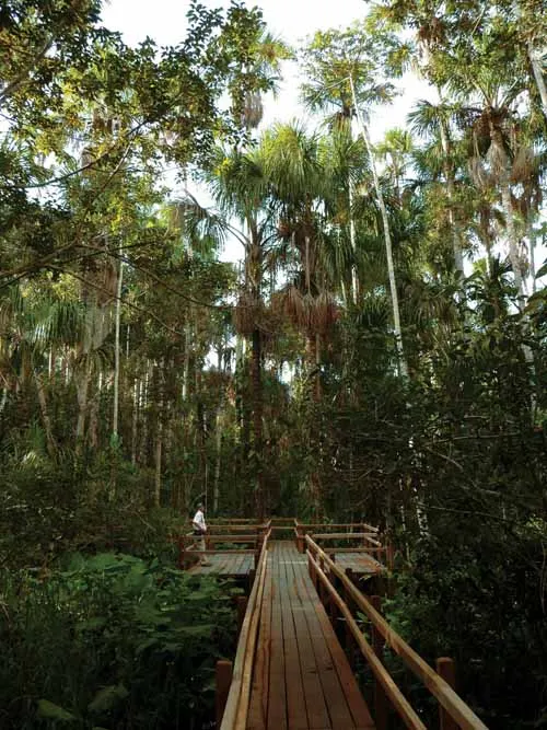 Unforgettable Peru and the Amazon