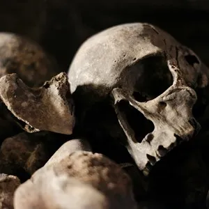 The Killing Fields & Choeung Ek Memorial