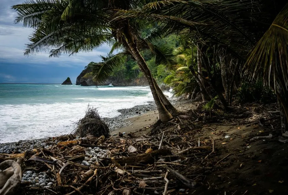 Costa Rica Pacific Coast Wellness Journey