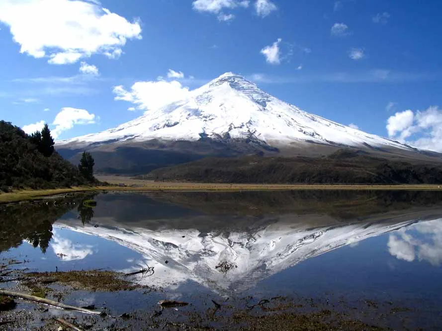 Jewels of Ecuador