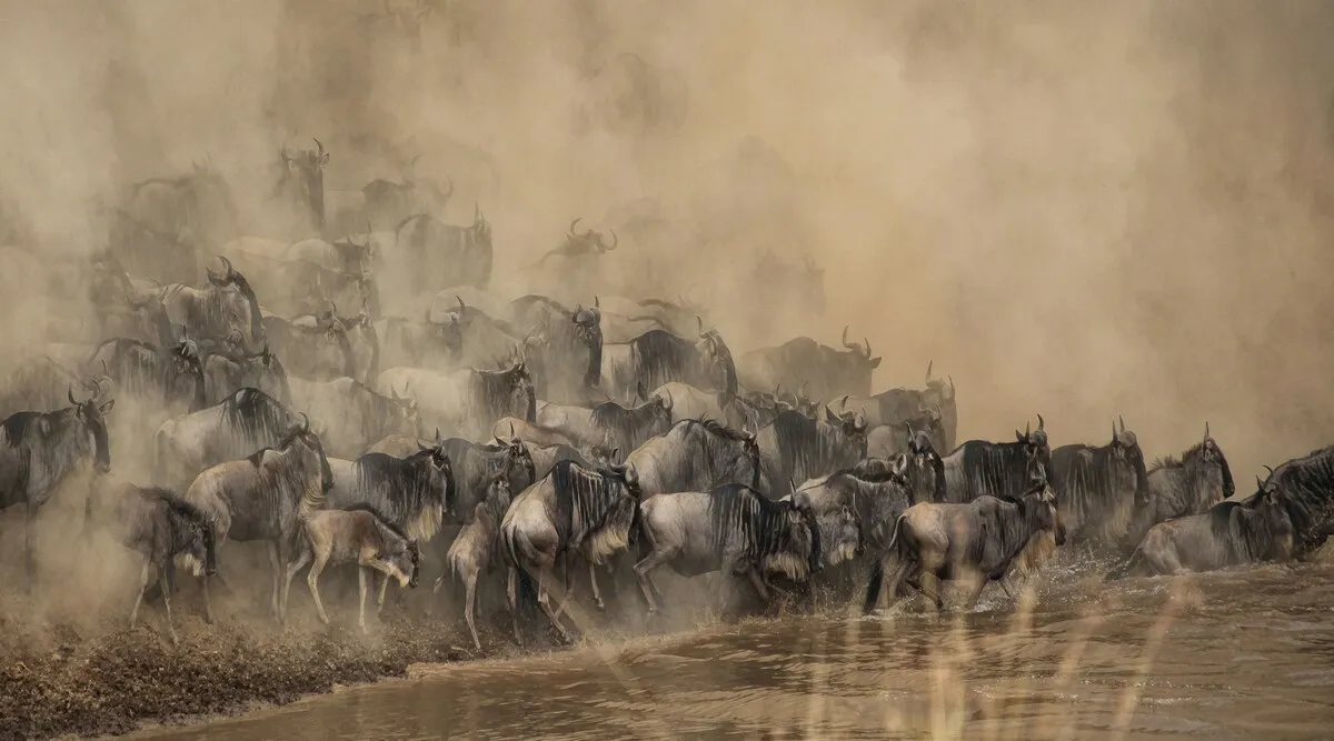Masai Mara A La Carte