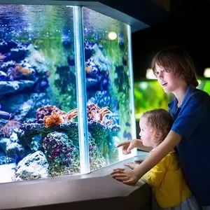 Grand Aquarium