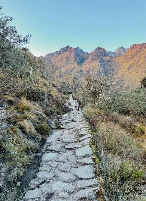 Salkantay Adventure Trek to Machu Picchu