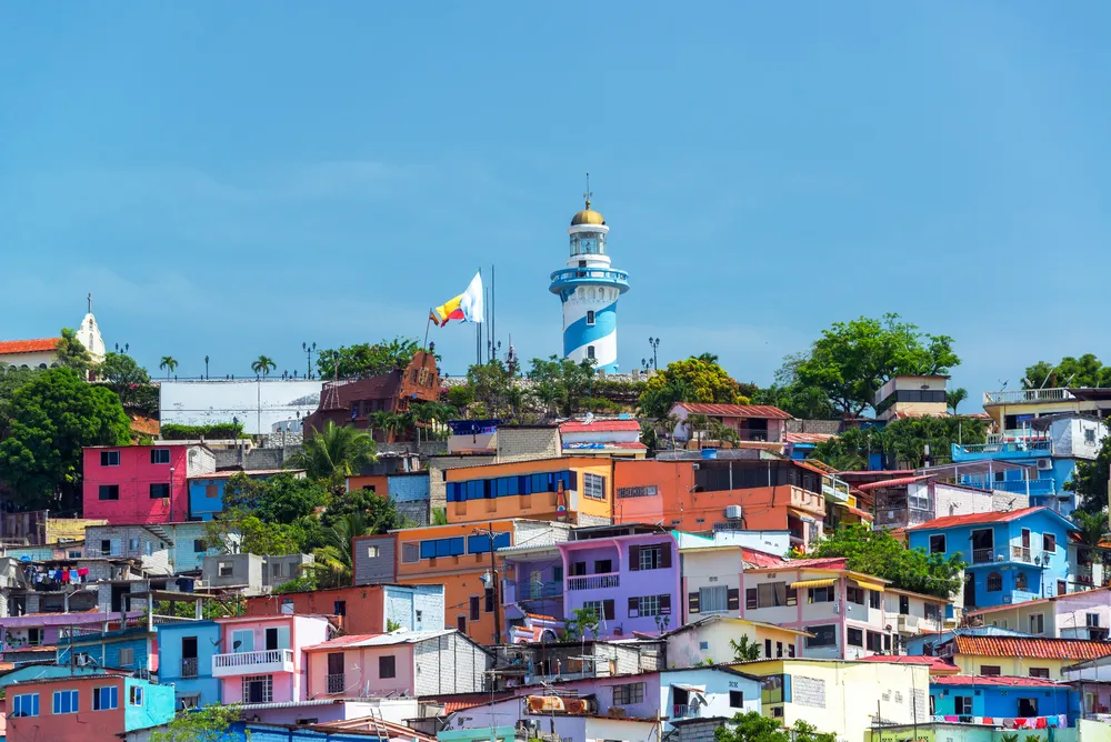 Extensive Ecuador Explorer  