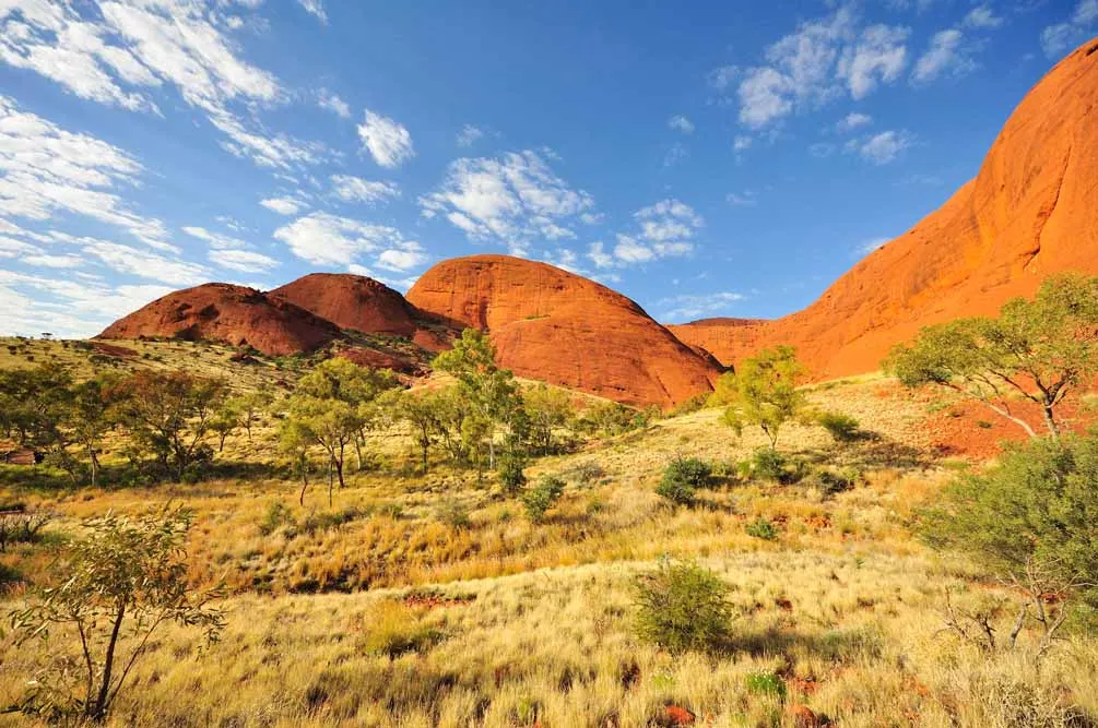 Australia City with Rock and Reef
