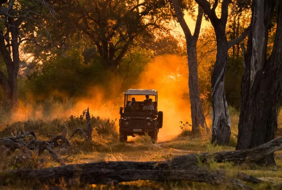 Moremi Game Reserve