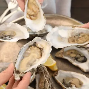 Acme Oyster House