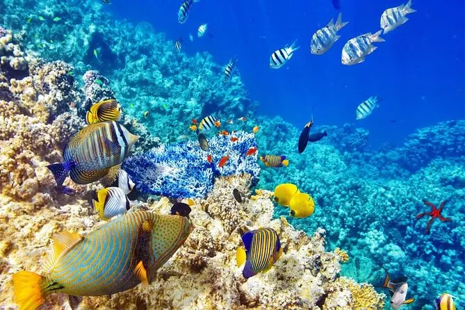 Costa Rica Beach Lovers Adventure 