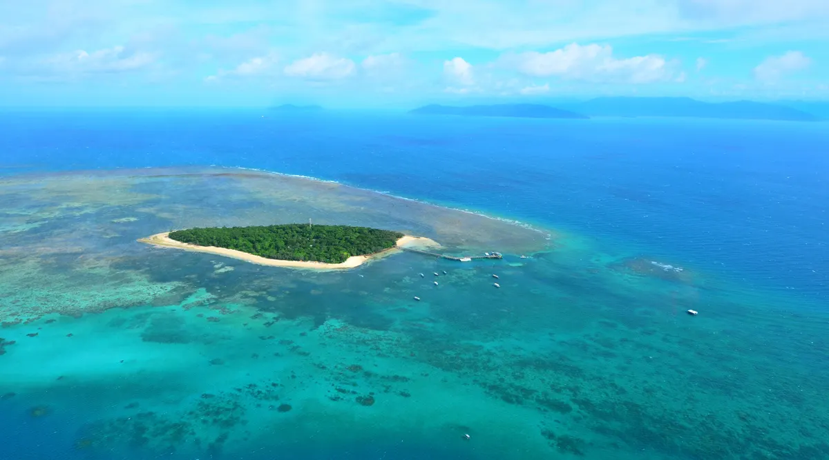 The Great Barrier Reef Escapade