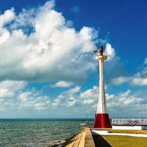 Baron Bliss Light