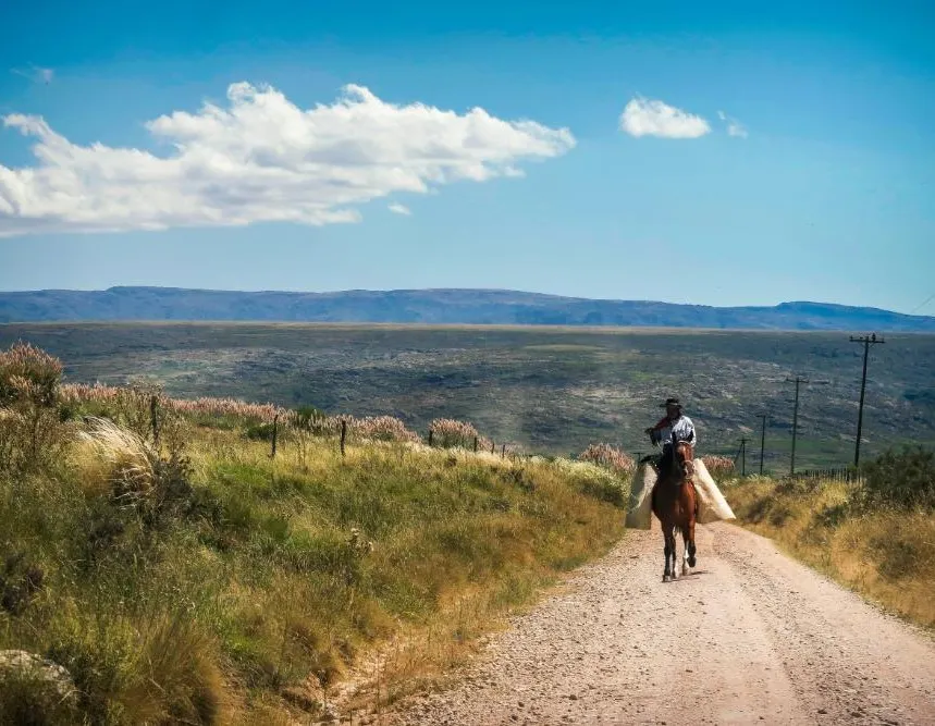 Argentina Horseback Explorer