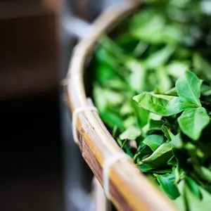 Lin Hua Tai Tea Company