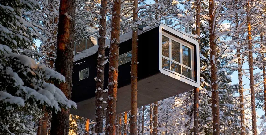 Stockholm The Ice Hotel and The Treehotel Multi City Vacation