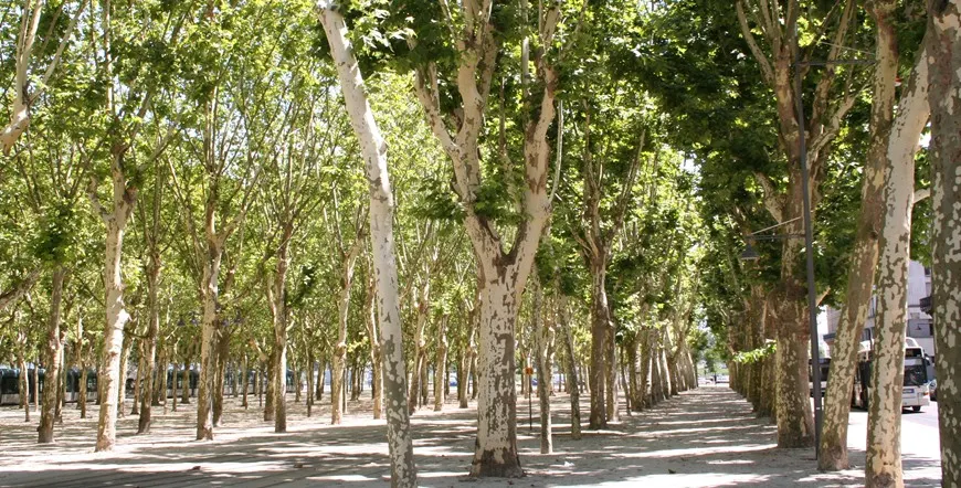 Bordeaux France Wine Country Escapade