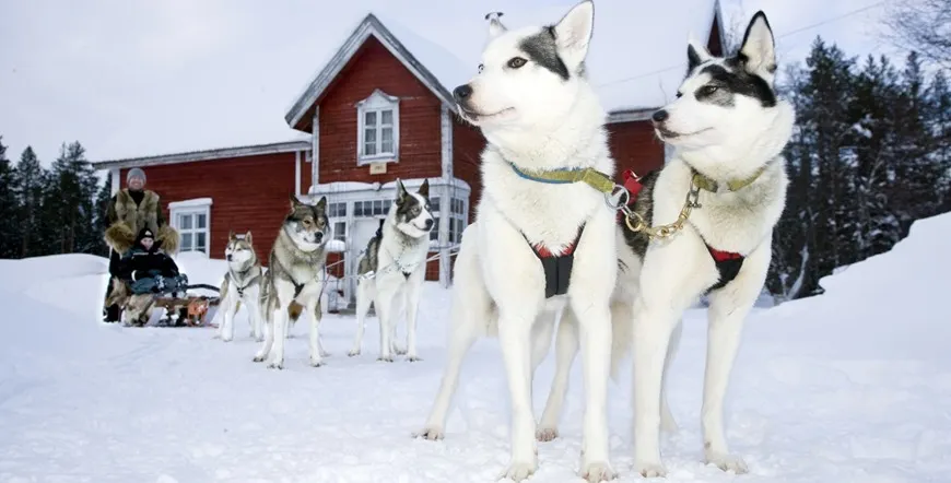 Rovaniemi Home of Santa Claus City Escape