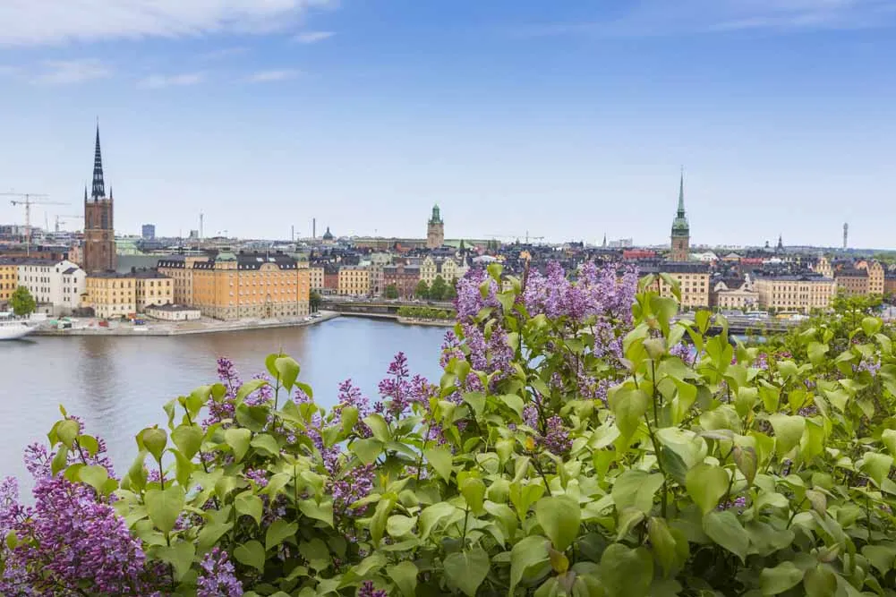 Finland and Sweden Summer Lapland Private Journey