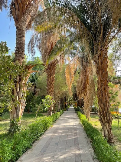 Aswan