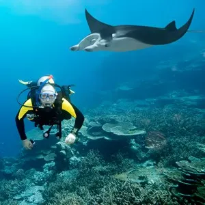 Manta Point