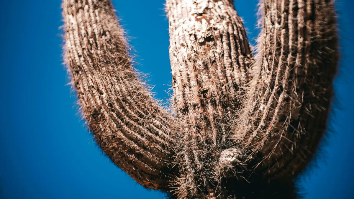 Astral Adventure in the Atacama Desert