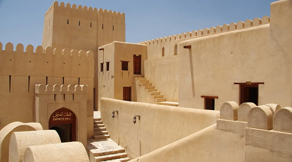 Muscat Discovery