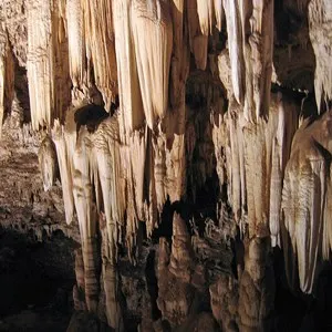 Bothongo Wondercave