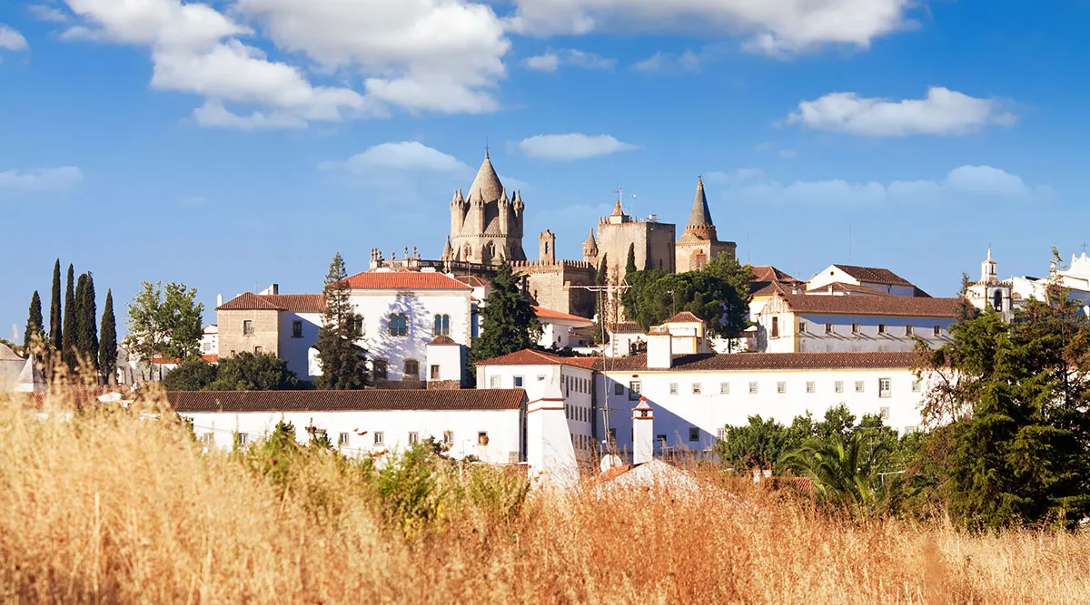 Portugal Highlights Private Journey including Douro Valley