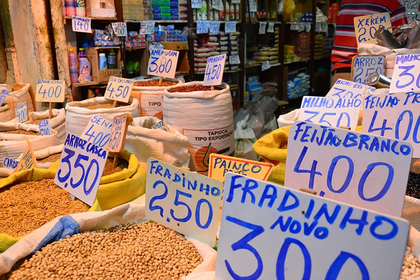 Private Cultural Journey through Brazil
