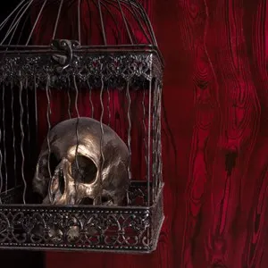 Gothic Skull in Ornate Metal Cage in front of Red Background