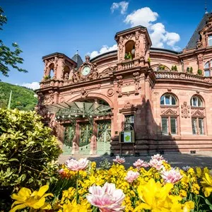 Heidelberg Concert Hall