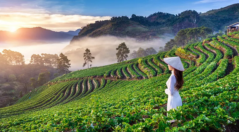 Chiang Mai