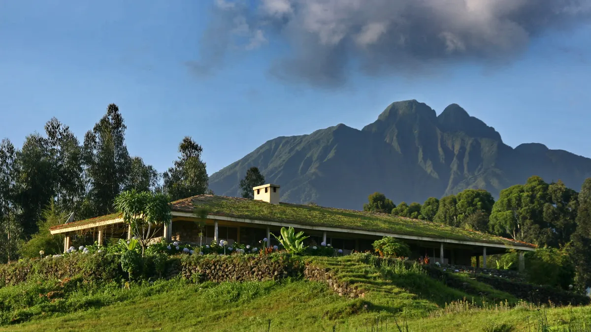 Gorillas of Rwanda