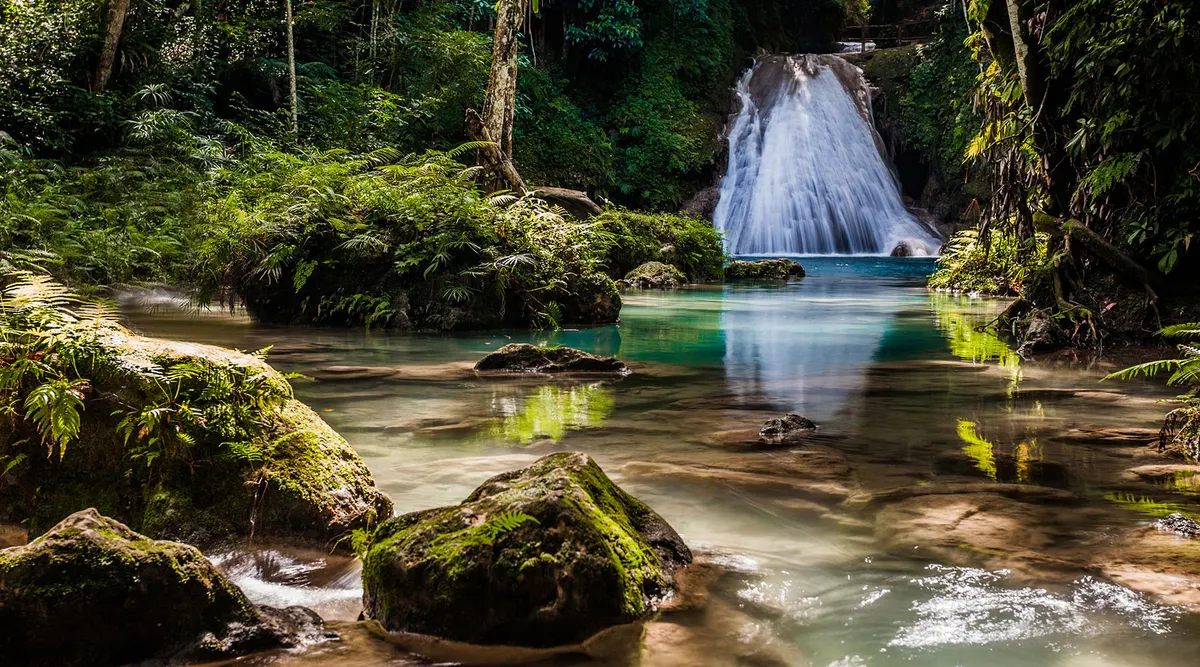 Jamaica Discovery