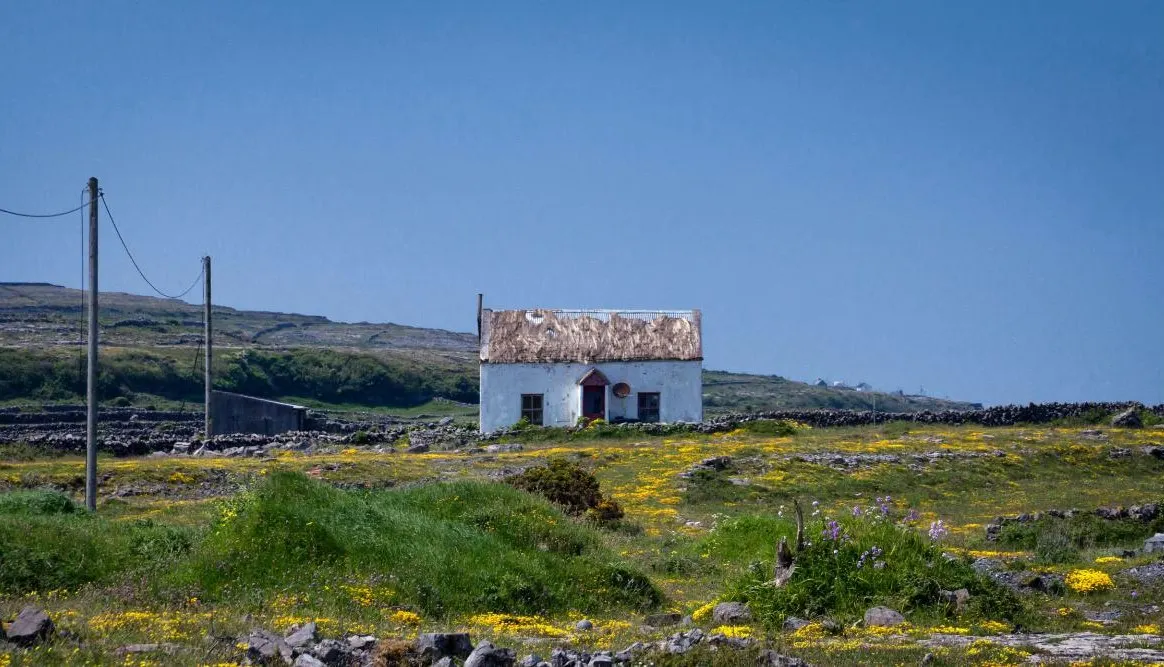 Galway City and the Aran Islands Escapade