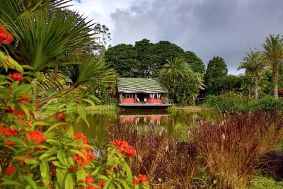 Photo 3 of Lakaz Chamarel Exclusive Lodge hotel
