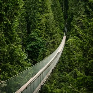 Capilano Suspension Bridge, BC