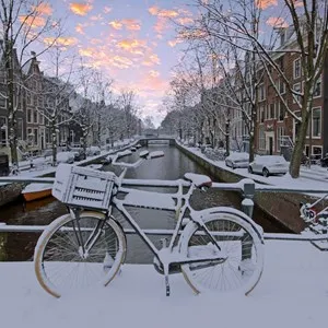Best Time to Visit
