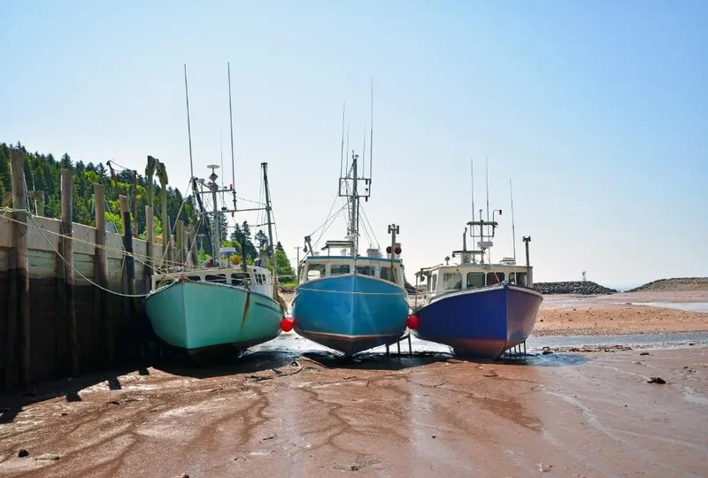 New Brunswick