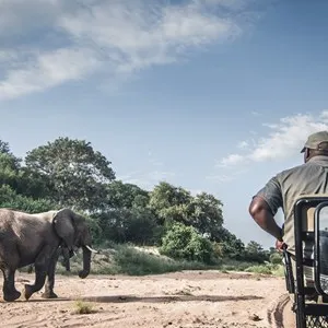 Hwange National Park (Zimbabwe)