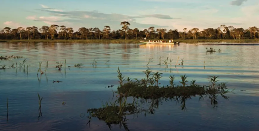 Amazon Short Cruise Peru