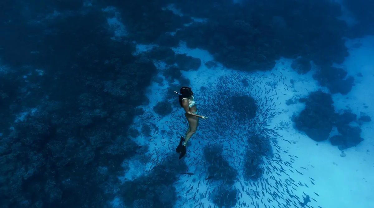 Seychelles Outer Islands Expedition