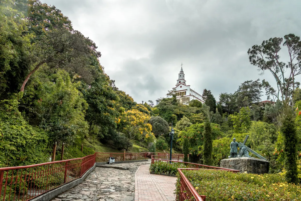 Bogota Discovery