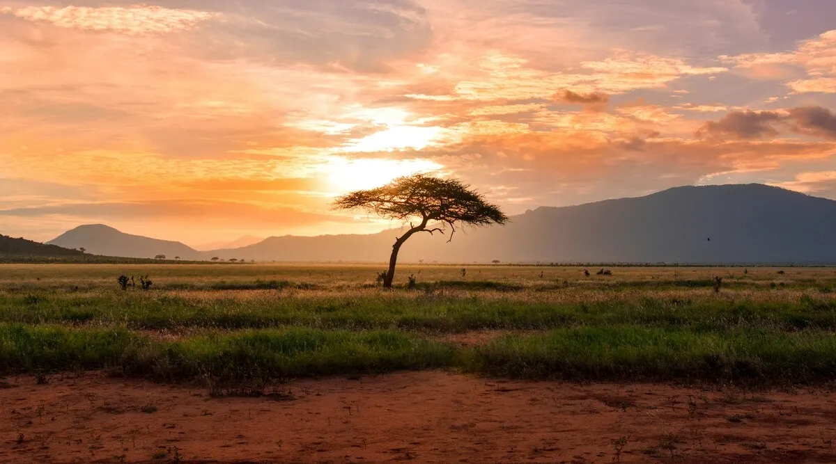 East Africa SkySafari