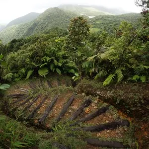 Waitukubuli National Trail
