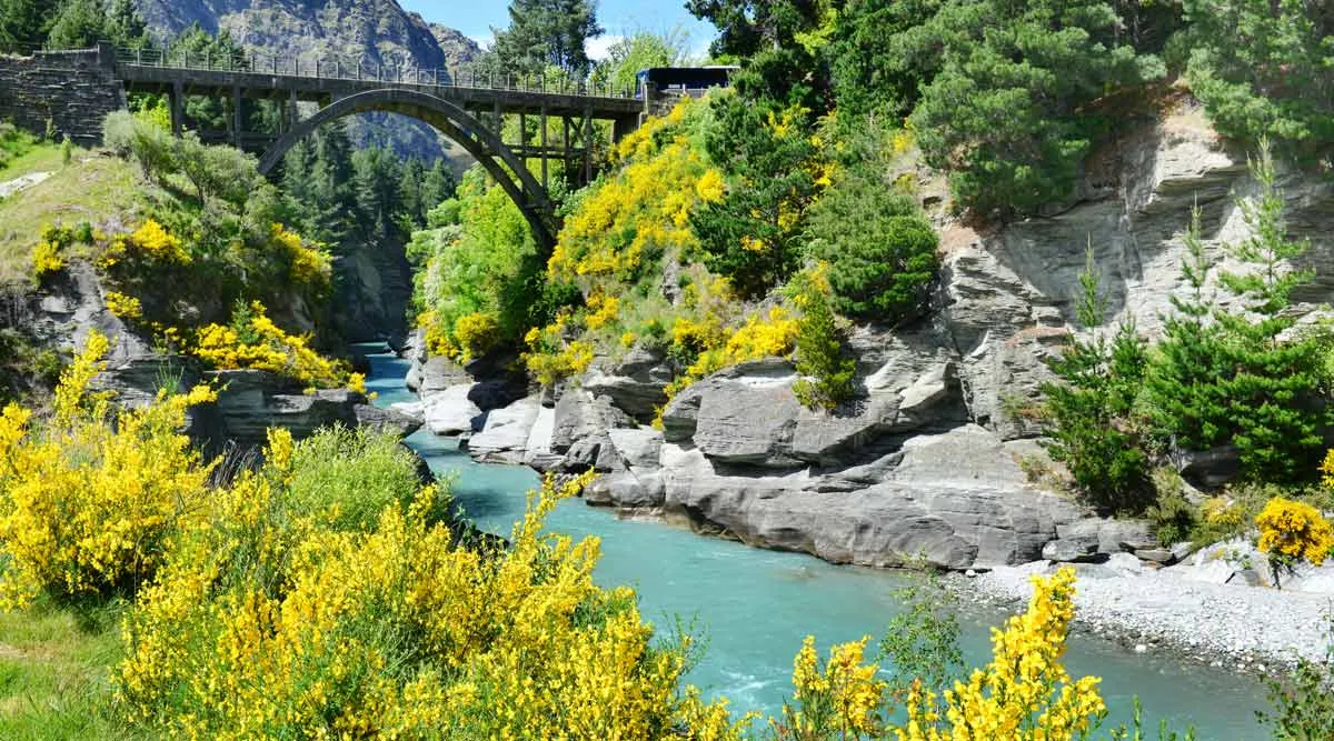 Queenstown-Millbrook