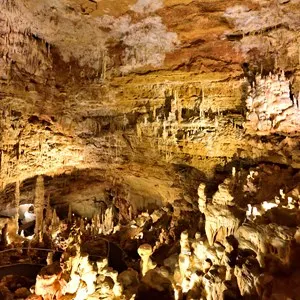 The Natural Bridge Caverns are the largest known commercial caverns in the U.S. state of Texas, still very active and considered living