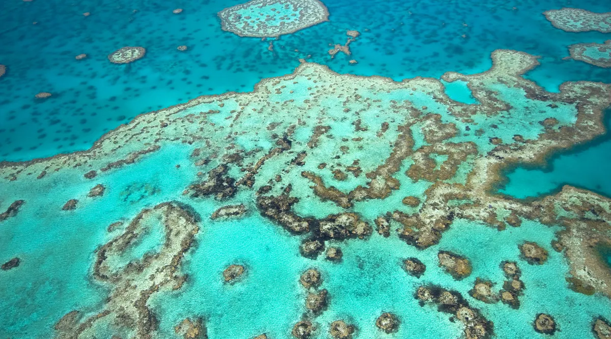 The Great Barrier Reef Escapade
