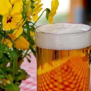 Biergarten O’Sheas Irish Pub