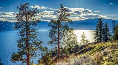 Kelowna